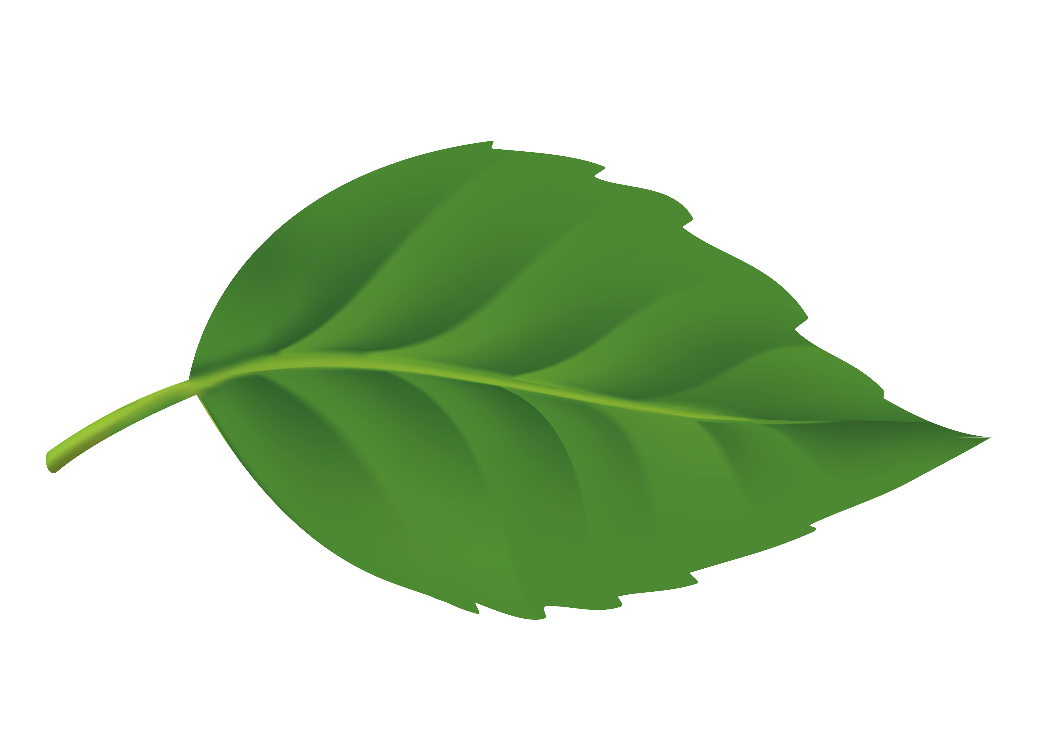 leaf.png