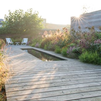 Tuin en terras zomer klaar