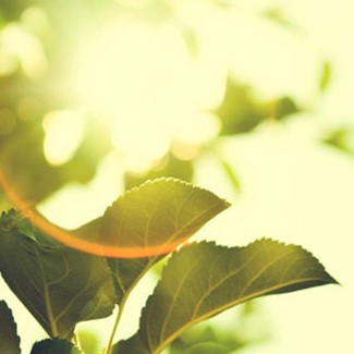 Nieuw jaar, nieuwe duurzame kansen